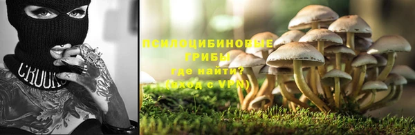наркотики Белокуриха